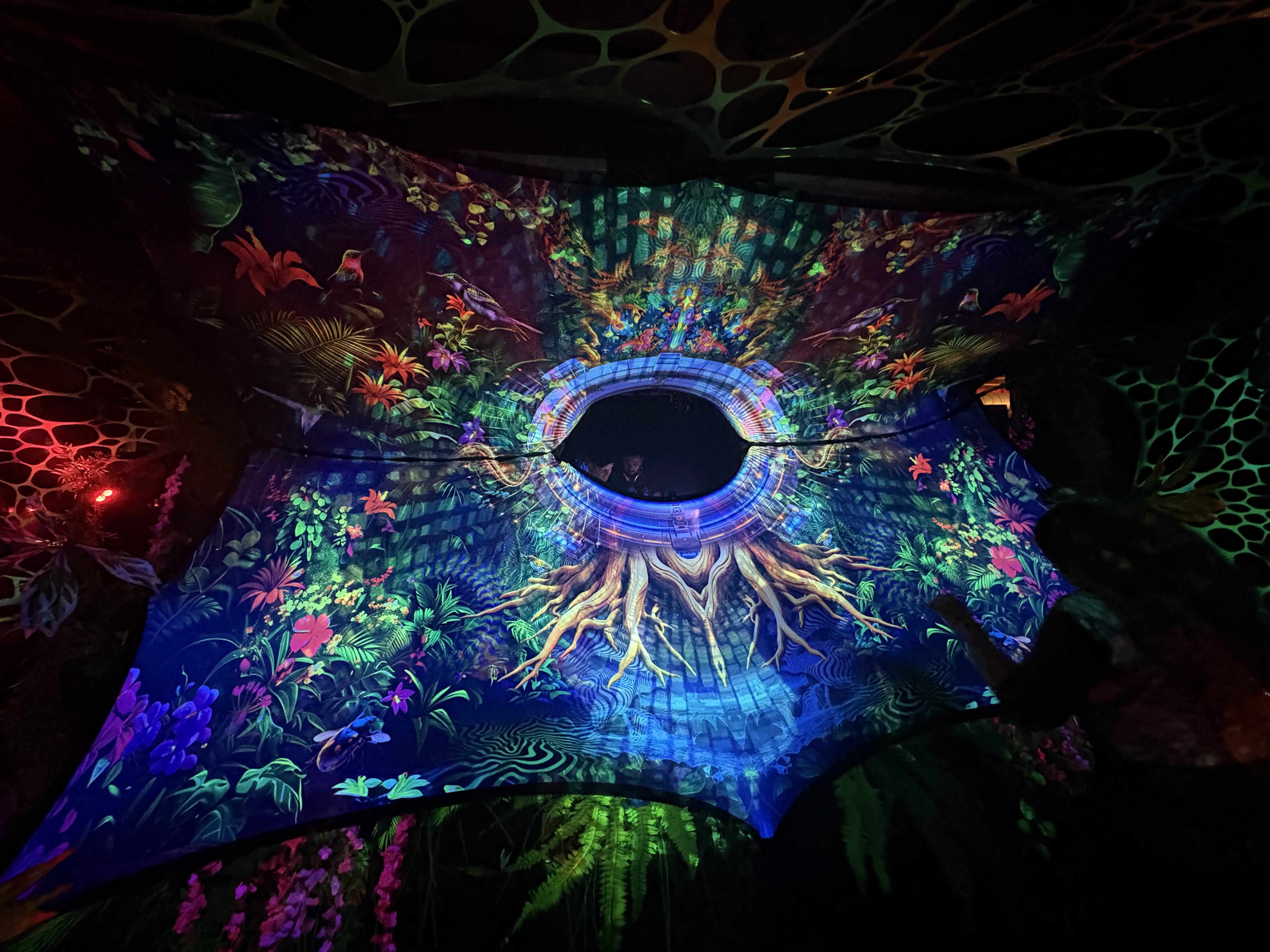 Psychedelische Kunst